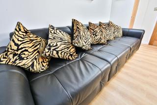 Luxury Cosy Central Detached Cardiff Bungalow - Cardiff - 3