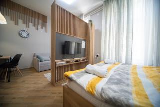 Apartmani u centru sa parkingom - Novi Sad - 0