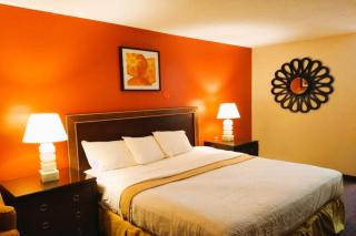 OYO Hotel McIntyre GA, US 441 - 4