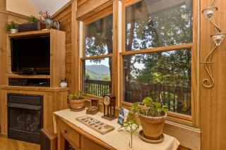 Top of the Line Asheville Mountain Cabin - Leicester - 1