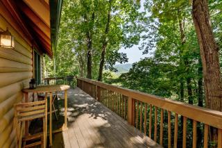 Top of the Line Asheville Mountain Cabin - Leicester - 8