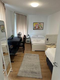 NTN HOUSE - St. Gallen - 9