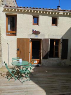 Le petit nid du marais - Le Vanneau - 0