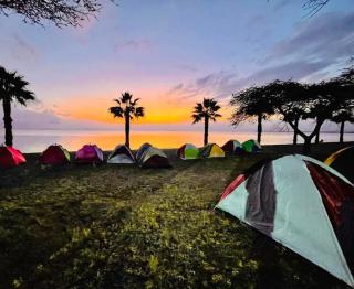 Golan Tours Ethiopia - - 2