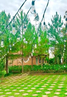Dalat Zen Homestay - Ấp Ða Thiên - 8