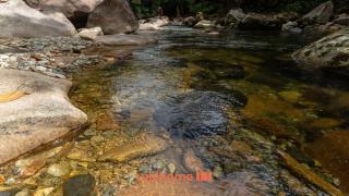 Chale na Mata Atlantica com rio e imersao natural - 6