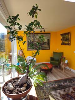 Heidy's Home, with Wellness Facilities - Zeewolde - 6