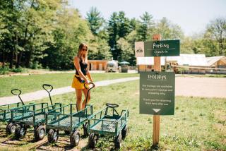 Huttopia Les Deux Lacs - Laurentides - Saint-Faustin - 6