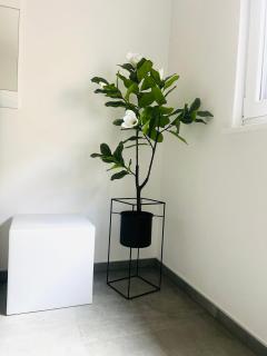 ViDa Apartment - Sinzheim - 2