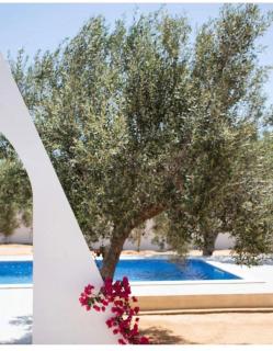 Villa Jasmin - Midoun - 1