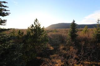 Discover Iceland Lodges - Blaskogabyggd - 1