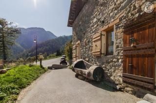 L'ours - Montricher-Albanne - 5