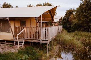 Luxe glamping tent - 8