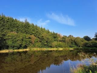 Gorgeous & Leafy Haven with a Hygge Vibe in Nature - 7