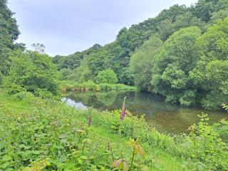 Gorgeous & Leafy Haven with a Hygge Vibe in Nature - 1
