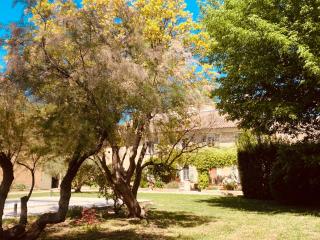 Typique Mas provençal, parc et piscine chauffée - Graveson - 8