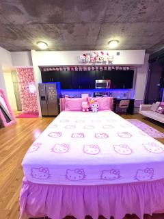 Pink Hello Kitty Themed Studio - Atlanta - 5
