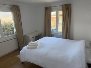 Appartement entier avec terrasse et jardin - Sion - 4