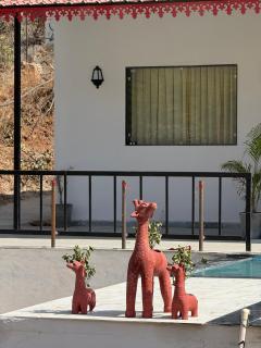 Almora Farm - Udaipur - 5