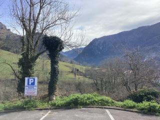 Apartamentos El Ardinal - 2