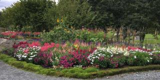 Villa Vy - a gem with private beach in Bergen - Bergen - 7