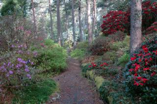 Villa Vy - a gem with private beach in Bergen - Bergen - 5