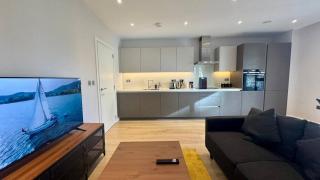 Modern 2 bedroom near London Eye - Londra - 7