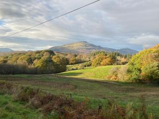 Shepherds hut on alpaca farm - Blaenau-Ffestiniog - 2