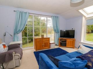 Nanny Jill's Cabin - Penrydd - 5