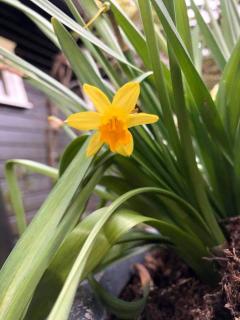 Gjestehus 1 Solåsen - 1