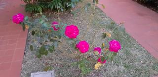 Villa Maria 3 floors independent with garage - 2