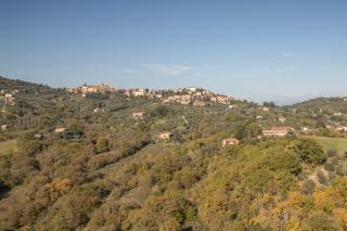 Tenuta di Caiolo - 9