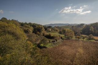 Tenuta di Caiolo - Panicale - 2