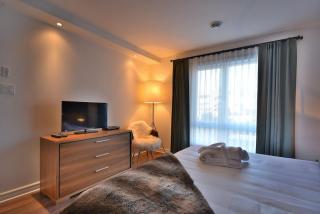 Condo Luxueux au pied du Mont - Saint-Sauveur-des-Monts - 4