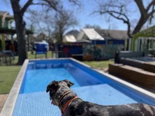 Artsy East Austin Hideaway - Austin - 9