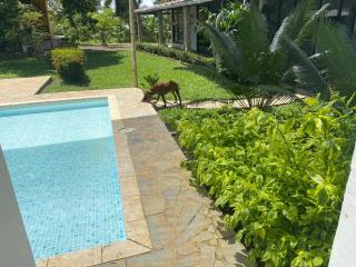 Casa finca Boscar Punta Piedra,Urabá - Turbo - 3
