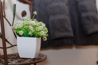 Kinnikinnick Retreat Steps from the Lake and Board walk, 5 min drive to RMNP. - 5