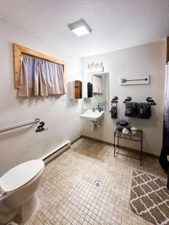 Kinnikinnick Retreat Steps from the Lake and Board walk, 5 min drive to RMNP. - 8