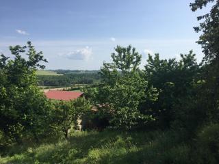 Gite La Ferme En Sud Charente - Montboyer - 1