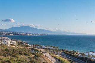 Estrella de la Bahía - Bahia de Casares - 2