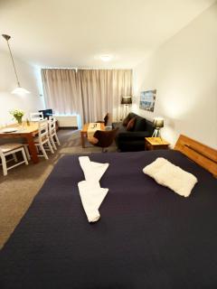 Haubentaucher - Fehmarn - 6