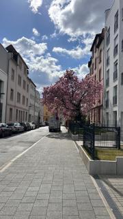 City Nest Offenbach - Offenbach-sur-le-Main - 4
