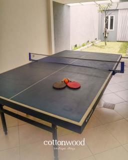 Cottonwood SetraMurni19 - Pool Pingpong PS - 4