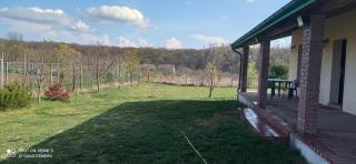 Casa de vacanta snagov-ciolpani - Piscu - 8