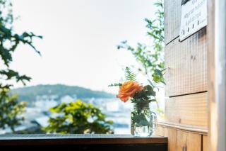 Romantic & Breezy Chalet - September Garden Homestay - Da Lat - 4