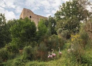 Glamping a Castel Dell'Aquila - Gragnola - 4