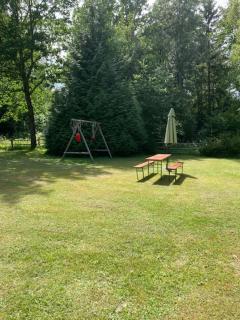 Forest Camping - - 6