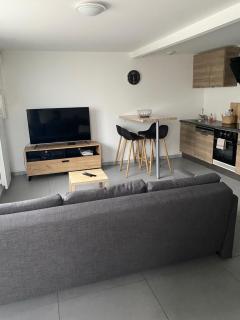 appartement avec 2 suites parentales - Angulema - 3