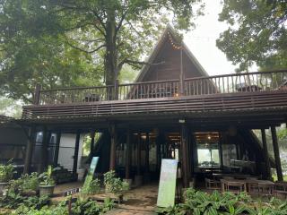 Telaga Warna - Tengahgirang - 2