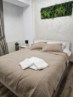 Airport apartment - Sibiu - 5